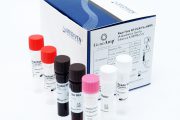Mediven GenoAmp® Real-Time RT-PCR Flu-MERS