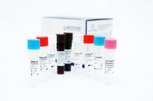 Mediven GenoAmp® Real-Time PCR Leptospirosis