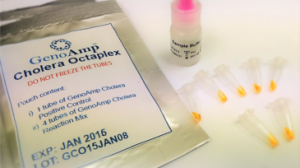 GenoAmp Endpoint PCR cholera octaplex