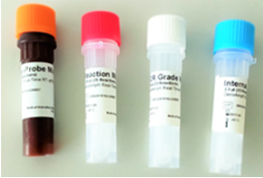 GenoAmpRT-PCR Dengu-Chiku Combo